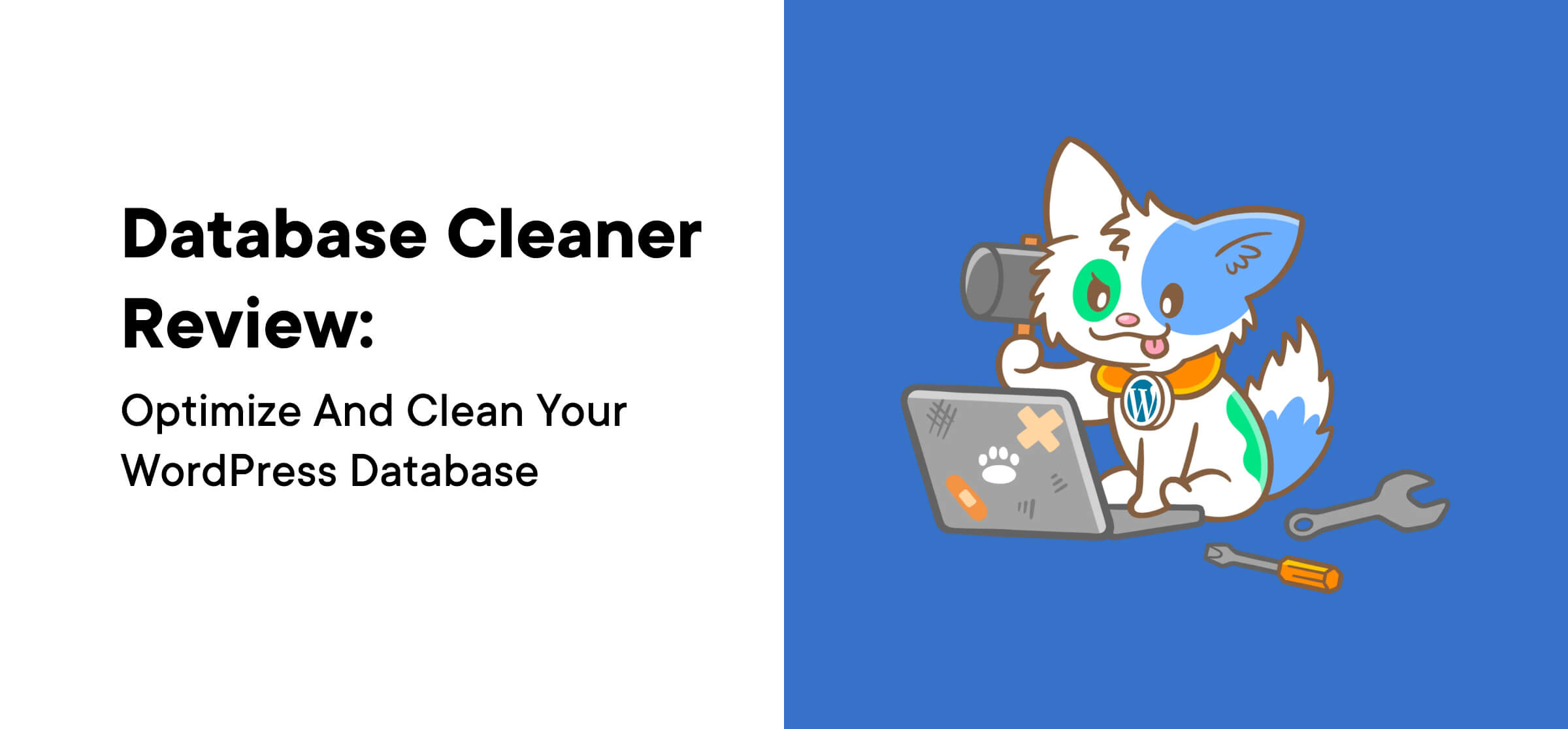 Database Cleaner Review_ Optimize and clean your wordPress database
